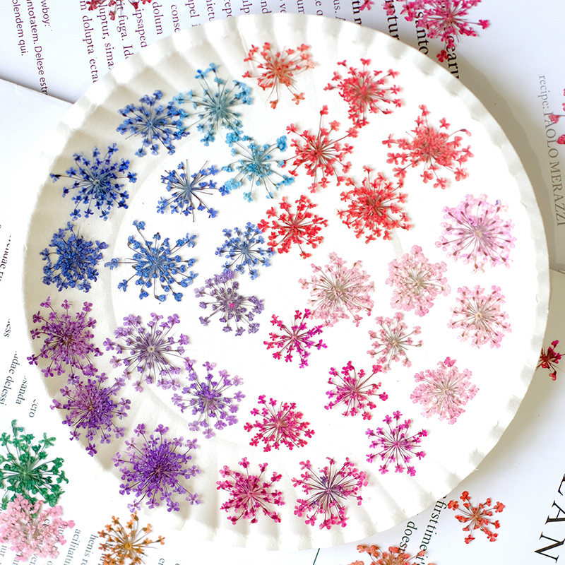 24pcs, 2-2.5cm, Kelopak Bunga  - Resin Art And Jewelry ulasan dan harga