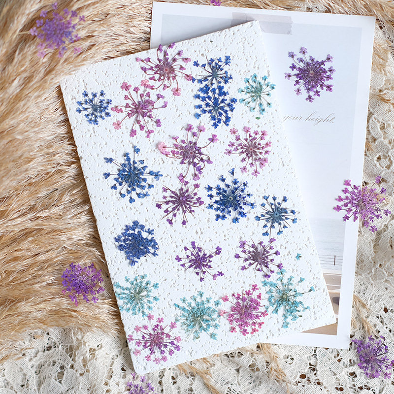 24pcs, 2-2.5cm, Kelopak Bunga  - Resin Art And Jewelry ulasan dan harga